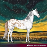 Horse Color:White Spotted Bay Dun Appaloosa Rabicano 