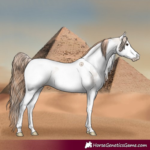 Horse Color:White Spotted Bay Dun Splash Tobiano Appaloosa Rabicano 