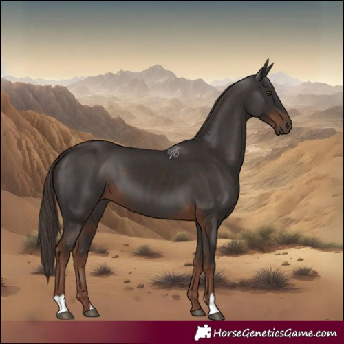 Horse Color:Liver Chestnut 