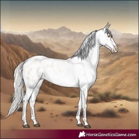 Horse Color:White Spotted Silver Grullo Roan Pearl Blanket Rabicano 