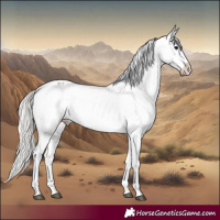 Horse Color:Silver Black Tobiano Varnish Rabicano 
