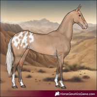 Horse Color:Silver Bay Dun Tobiano Blanket Rabicano 