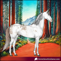 Horse Color:White Spotted Brown Dun Appaloosa Rabicano 