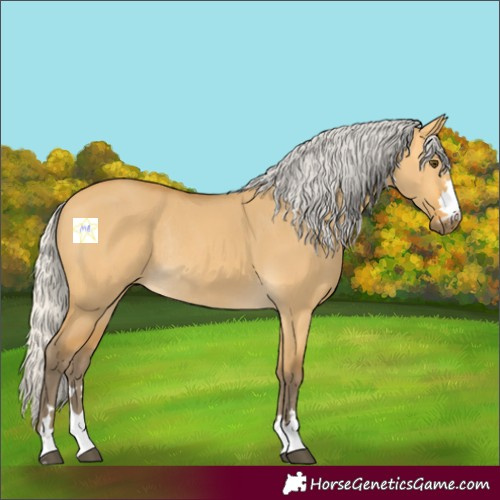 Horse Color:Silver Buckskin Dun Rabicano 