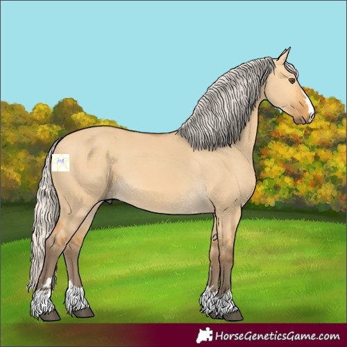 Horse Color:Silver Buckskin Dun 