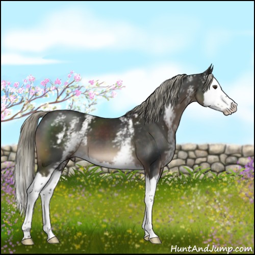 Horse Color:White Spotted Liver Chestnut Mushroom Splash 