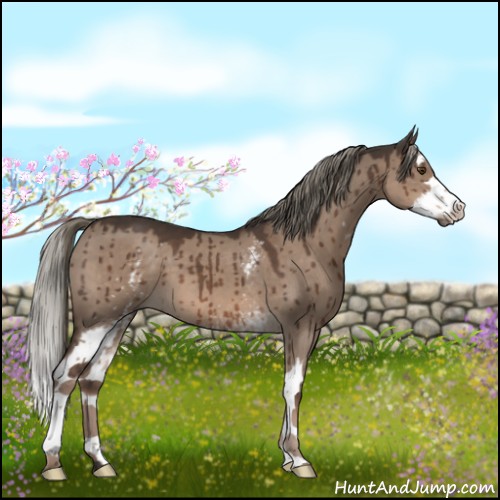 Horse Color:White Spotted Liver Red Dun Mushroom Splash Brindle