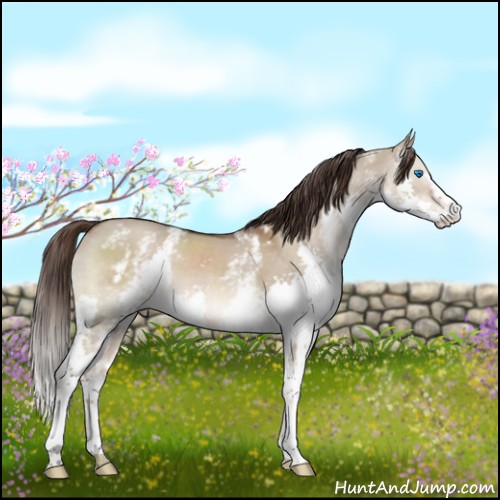 Horse Color:White Spotted Liver Red Dun Splash 