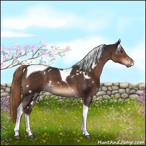 Horse Color:White Spotted Liver Chestnut Tobiano 
