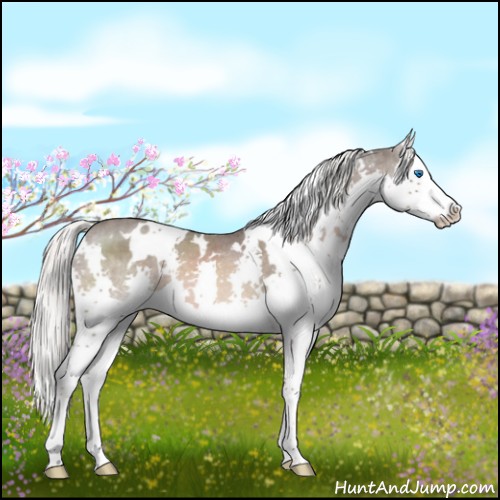 Horse Color:White Spotted Liver Red Roan Mushroom Splash 