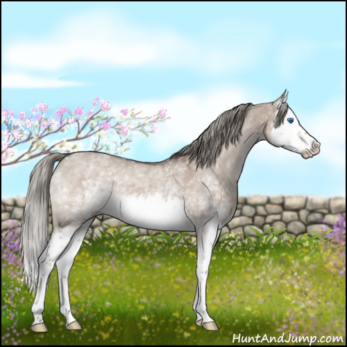 Horse Color:White Spotted Liver Red Dun Mushroom Splash 