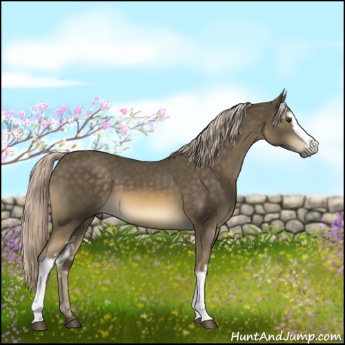 Horse Color:White Spotted Chocolate Palomino Mushroom Sabino 