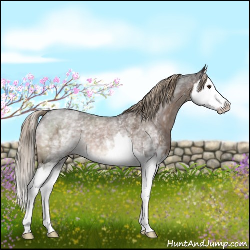 Horse Color:White Spotted Liver Red Roan Splash 