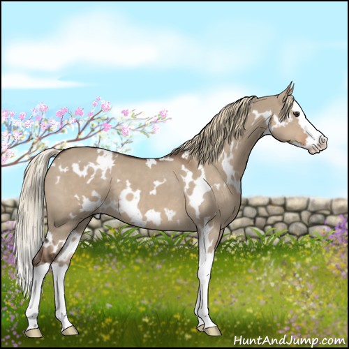 Horse Color:White Spotted Liver Red Dun Splash 