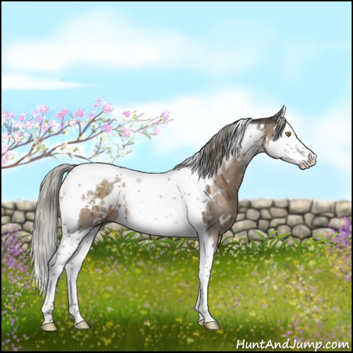 Horse Color:White Spotted Liver Red Dun Mushroom Splash Tobiano Brindle 
