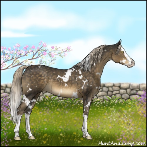 Horse Color:White Spotted Chocolate Palomino Mushroom Splash 