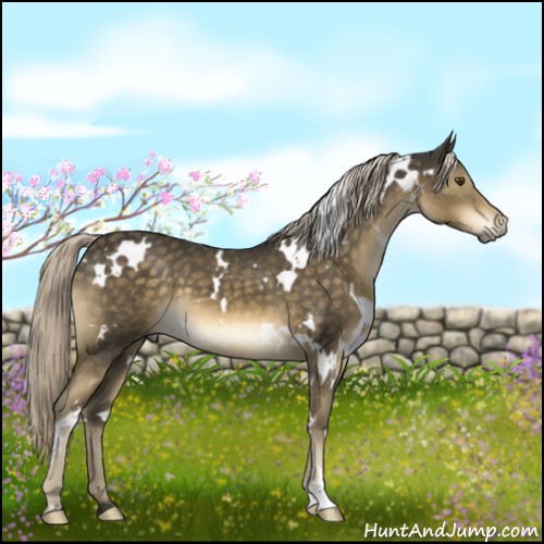 Horse Color:White Spotted Chocolate Palomino Mushroom 