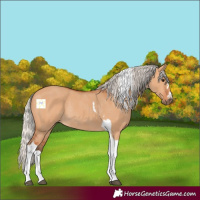Horse Color:Silver Bay Dun Tobiano Rabicano