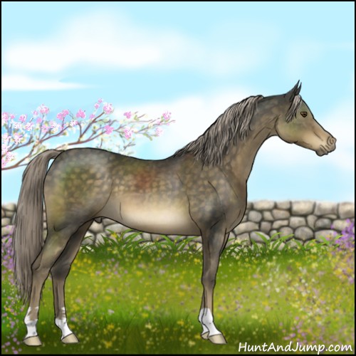 Horse Color:Chocolate Palomino Mushroom 
