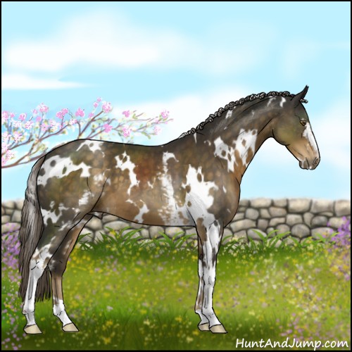 Horse Color:White Spotted Chocolate Palomino 