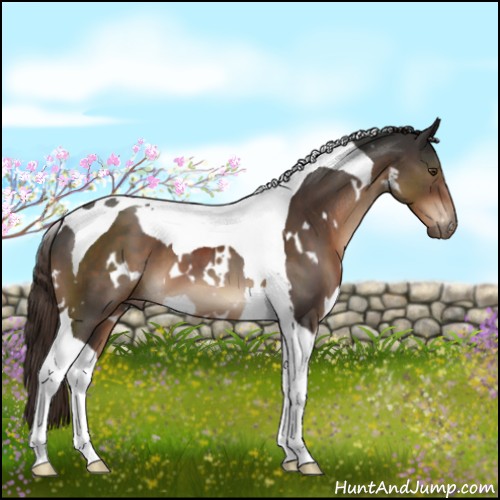 Horse Color:White Spotted Liver Chestnut Tobiano 