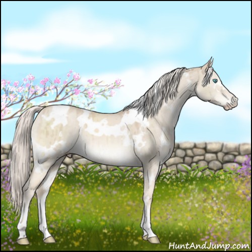 Horse Color:White Spotted Cremello Dun Mushroom Brindle 