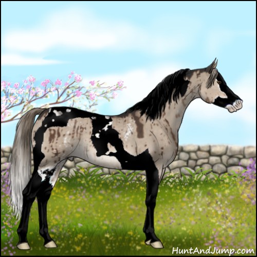 Horse Color:White Spotted Liver Red Dun Mushroom Splash Tobiano Brindle 