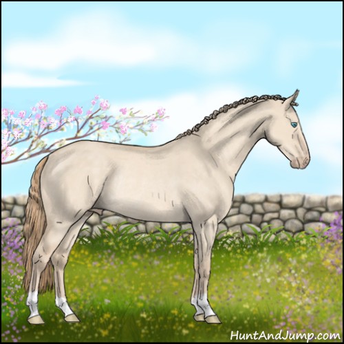 Horse Color:Perlino Dun Rabicano 