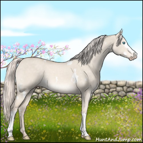 Horse Color:White Spotted Cremello Dun Mushroom 