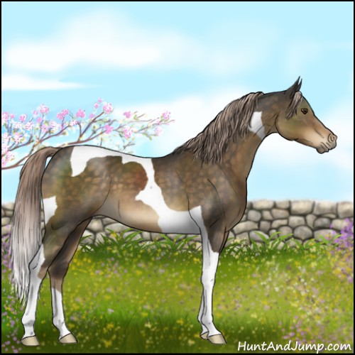 Horse Color:Chocolate Palomino Tobiano 