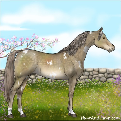 Horse Color:White Spotted Chocolate Palomino Dun Mushroom 