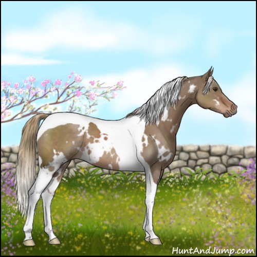 Horse Color:White Spotted Liver Red Dun Tobiano 
