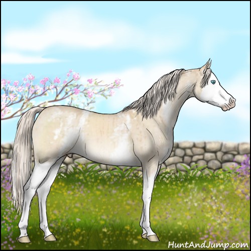 Horse Color:White Spotted Cremello Dun Splash Brindle 