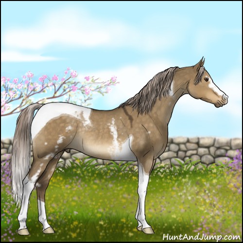Horse Color:White Spotted Chocolate Palomino Dun Tobiano Rabicano 