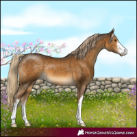 Horse Color:White Spotted Chocolate Palomino Mushroom