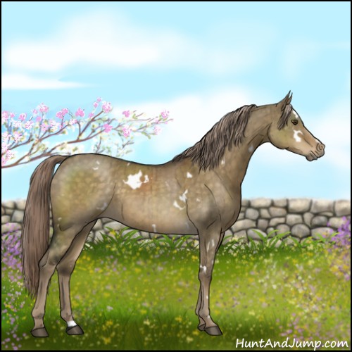 Horse Color:White Spotted Chocolate Palomino Dun Brindle 