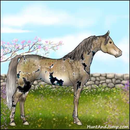 Horse Color:White Spotted Chocolate Palomino Dun Brindle 