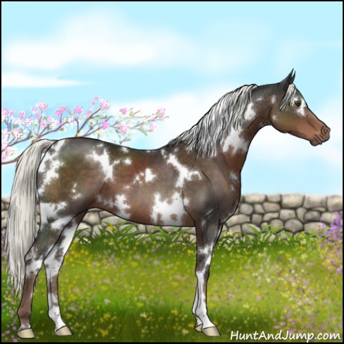 Horse Color:White Spotted Liver Chestnut Mushroom 