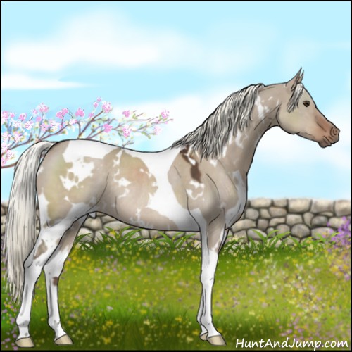 Horse Color:White Spotted Liver Red Dun Mushroom Tobiano Rabicano 