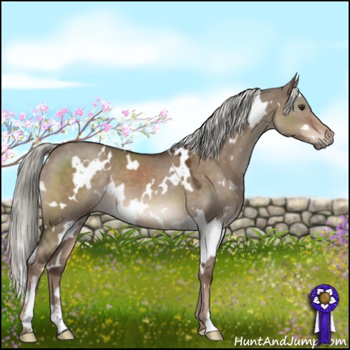 Horse Color:White Spotted Liver Red Dun Mushroom 
