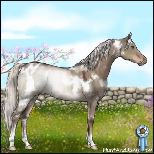 Horse Color:White Spotted Liver Red Dun Mushroom Sabino Rabicano 