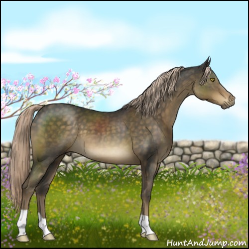 Horse Color:Chocolate Palomino Mushroom 