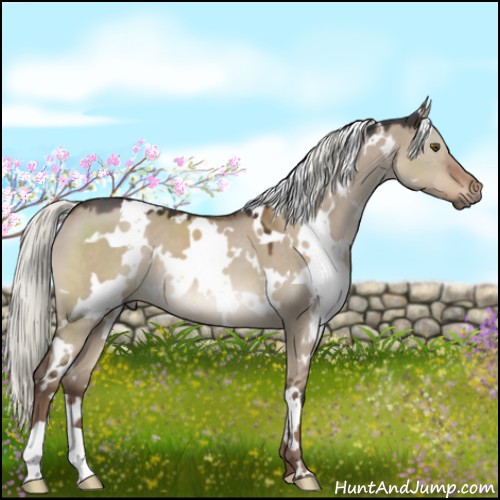 Horse Color:White Spotted Liver Red Dun Mushroom 