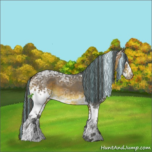 Horse Color:Painted White Spotted Brown Ice