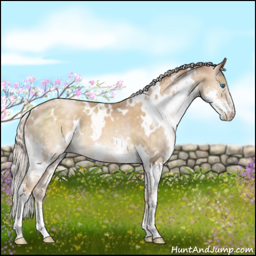 Horse Color:White Spotted Silver Buckskin Pearl Splash 