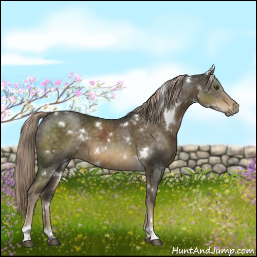 Horse Color:White Spotted Chocolate Palomino Mushroom 