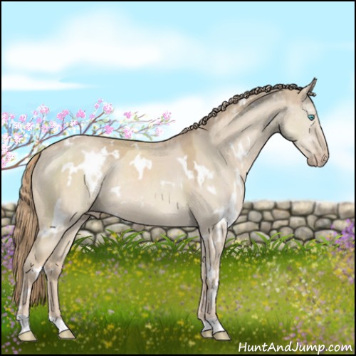 Horse Color:White Spotted Smoky Creme Dun Rabicano 