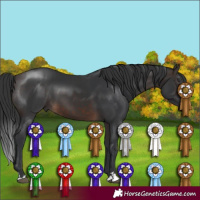 Horse Color:Brown 