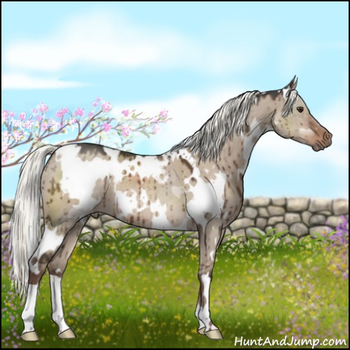 Horse Color:White Spotted Liver Red Dun Mushroom Brindle 