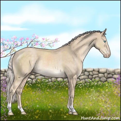 Horse Color:Cremello Rabicano 